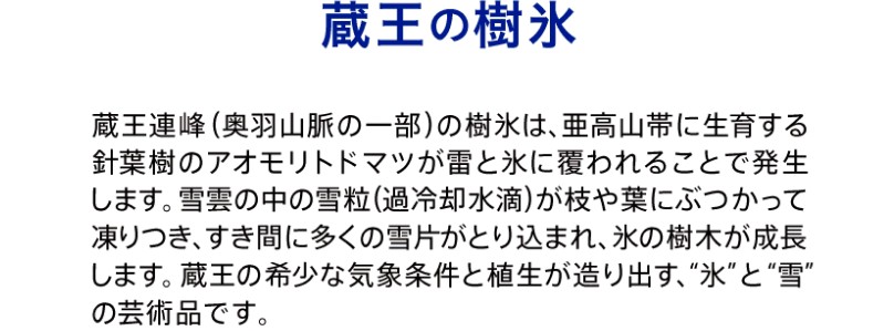 ���z�� ���x�����X ���Y �V�R�� 500ml 42�{ �����������T�C�g